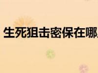 生死狙击密保在哪里（生死狙击密保查看器）