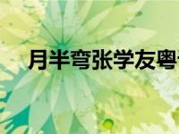 月半弯张学友粤语歌词（月半弯张学友）