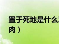 置于死地是什么意思（置于死地by没事吃口肉）