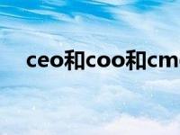 ceo和coo和cmo（CEO和COO的区别）