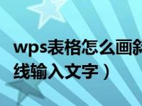 wps表格怎么画斜线写字（wps表格怎么画斜线输入文字）