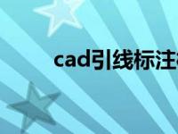 cad引线标注样式设置（cad引线）