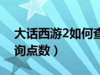 大话西游2如何查询点数（大话西游2怎么查询点数）