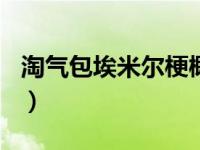 淘气包埃米尔梗概200字（淘气包埃米尔梗概）