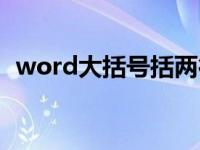 word大括号括两行（word大括号两排字）