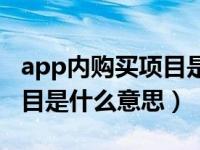 app内购买项目是什么意思呀（app内购买项目是什么意思）