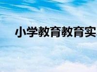 小学教育教育实习总结（教育实习内容）