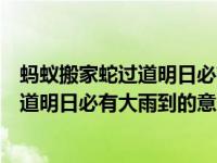 蚂蚁搬家蛇过道明日必有大雨到是什么意思（蚂蚁搬家蛇过道明日必有大雨到的意思）