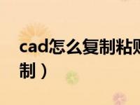 cad怎么复制粘贴到另一个cad（cad怎么复制）