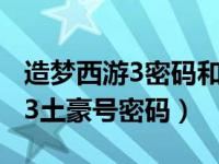 造梦西游3密码和账号大全vip5号（造梦西游3土豪号密码）