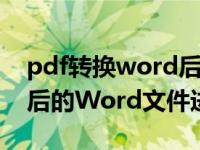 pdf转换word后如何编辑（怎样对PDF转换后的Word文件进行编辑）