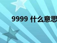 9999 什么意思（9999的意思是什么）