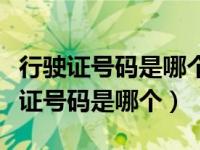 行驶证号码是哪个号码档案编号是空的（行驶证号码是哪个）