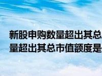 新股申购数量超出其总市值额度是什么意思啊（新股申购数量超出其总市值额度是什么意思）