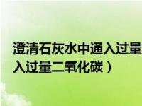 澄清石灰水中通入过量二氧化碳的方程式（澄清石灰水中通入过量二氧化碳）