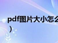 pdf图片大小怎么改（pdf图片如何调整大小）