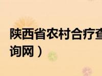 陕西省农村合疗查询网（陕西农村合作医疗查询网）