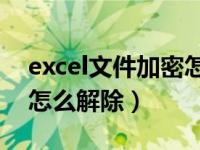 excel文件加密怎么解除03（excel文件加密怎么解除）