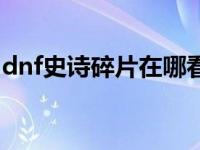 dnf史诗碎片在哪看的（dnf史诗碎片在哪看）