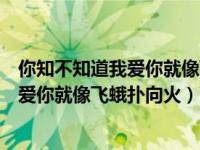 你知不知道我爱你就像飞蛾扑向火是什么歌（你知不知道我爱你就像飞蛾扑向火）