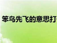 笨鸟先飞的意思打一数字（笨鸟先飞的意思）