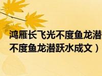 鸿雁长飞光不度鱼龙潜跃水成文文是什么意思（鸿雁长飞光不度鱼龙潜跃水成文）