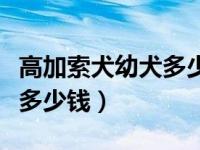 高加索犬幼犬多少钱一只视频（高加索犬幼犬多少钱）