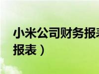 小米公司财务报表分析2022（小米公司财务报表）