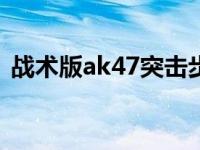 战术版ak47突击步枪（战术版AK200简介）