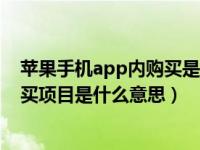 苹果手机app内购买是什么意思花钱吗（苹果手机app内购买项目是什么意思）