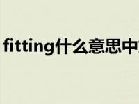 fitting什么意思中文翻译（fitting什么意思）