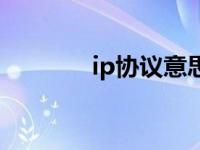 ip协议意思（ip协议是什么）