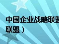 中国企业战略联盟发展促进会（中国企业战略联盟）