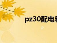 pz30配电箱尺寸（电箱尺寸）