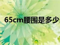 65cm腰围是多少尺（90cm腰围是多少尺）