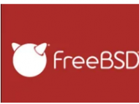 FreeBSD14.1带来多项更新和改进