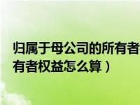 归属于母公司的所有者权益是什么意思（今日归属母公司所有者权益怎么算）