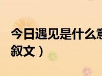 今日遇见是什么意思（今日遇见作文600字记叙文）