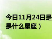 今日11月24日是什么星座的（今日11月24日是什么星座）