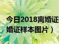 今日2018离婚证样本图片高清（今日2018离婚证样本图片）