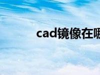 cad镜像在哪儿（今日cad镜像）