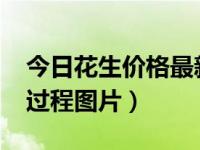 今日花生价格最新行情2019（今日花生生长过程图片）