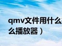 qmv文件用什么播放器播放（今日qmv用什么播放器）