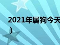 2021年属狗今天多大（今日属狗的今年多大）