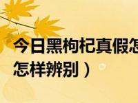 今日黑枸杞真假怎样辨别的（今日黑枸杞真假怎样辨别）