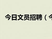 今日文员招聘（今日文员一般做什么工作）