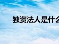 独资法人是什么意思（今日法人独资）