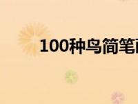 100种鸟简笔画（今日鸟的简笔画）