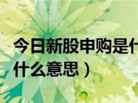 今日新股申购是什么意思呀（今日新股申购是什么意思）