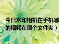 今日水印相机在手机哪个文件夹里（今日电脑哔哩哔哩下载的视频在哪个文件夹）